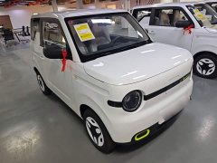 Geely Panda 2025 Panda Mini 210km Vitality Edition - ფოტო 4