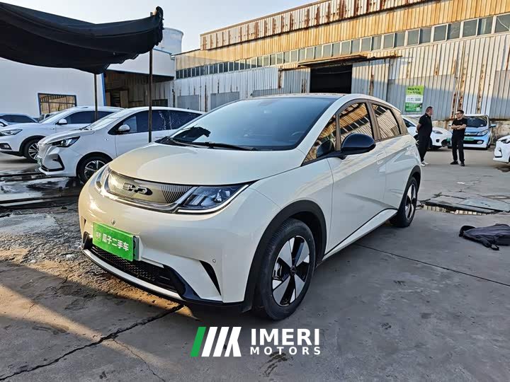 BYD Dolphin 420km Fashion Edition - ავტომობილი ჩინეთიდან