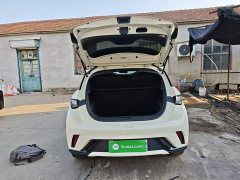 BYD Dolphin 420km Fashion Edition - ფოტო 19