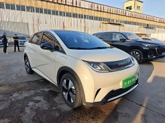 BYD Dolphin 420km Fashion Edition - ფოტო 4