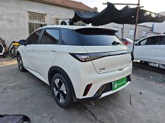BYD Dolphin 420km Fashion Edition - ფოტო 5