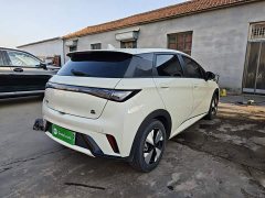 BYD Dolphin 420km Fashion Edition - ფოტო 7