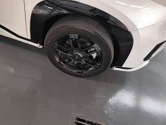 GAC AION V 2024 Aion Tyrannosaurus 520 Executive - ფოტო 12