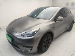 Tesla Model Y Rear-Wheel Drive - ფოტო 1