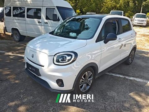 2021 Leapmotor Leapo T03 400 Luxury Edition - ავტომობილი ჩინეთიდან