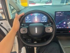 Great Wall WEY Shanshan New Energy Four-Wheel Drive Shanshan 8 - ფოტო 11