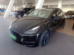 Tesla Model Y Long Range All-Wheel Drive - ფოტო 1