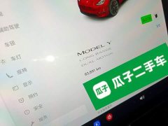 Tesla Model Y Long Range All-Wheel Drive - ფოტო 12