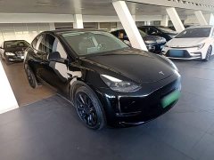 Tesla Model Y Long Range All-Wheel Drive - ფოტო 4