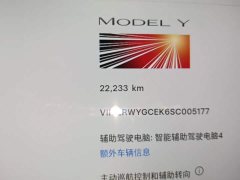 Tesla Model Y Long Range All-Wheel Drive Launch Edition - ფოტო 5