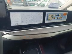 Maxus Dajia 9 Long Range Alpine Flagship Edition - ფოტო 13