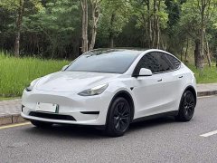 Tesla Model Y 2023 Rear-Wheel Drive - ფოტო 1