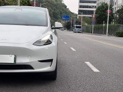 Tesla Model Y 2023 Rear-Wheel Drive - ფოტო 16