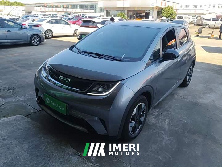 BYD Dolphin Glory Edition 420km Freedom Version - ავტომობილი ჩინეთიდან