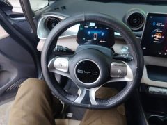 BYD Dolphin Glory Edition 420km Freedom Version - ფოტო 11