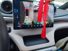 BYD Dolphin Glory Edition 420km Freedom Version - ფოტო 13