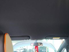 BYD Dolphin Glory Edition 420km Freedom Version - ფოტო 18