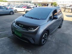 BYD Dolphin Glory Edition 420km Freedom Version - ფოტო 2