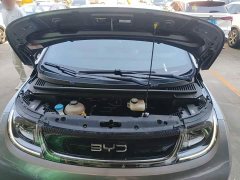 BYD Dolphin Glory Edition 420km Freedom Version - ფოტო 20
