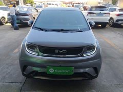 BYD Dolphin Glory Edition 420km Freedom Version - ფოტო 3