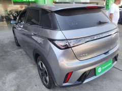 BYD Dolphin Glory Edition 420km Freedom Version - ფოტო 5