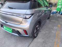 BYD Dolphin Glory Edition 420km Freedom Version - ფოტო 8