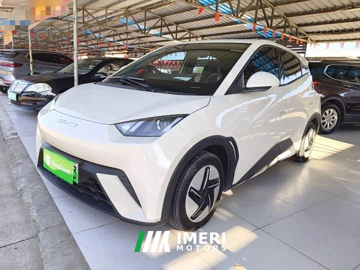 BYD Seagull Glory Edition 305km Vitality Version - ავტომობილი ჩინეთიდან