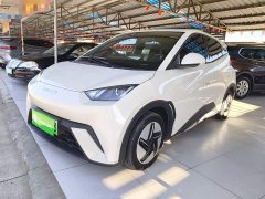 BYD Seagull Glory Edition 305km Vitality Version - ფოტო 1