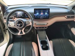 BYD Seagull Glory Edition 305km Vitality Version - ფოტო 10