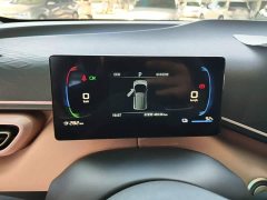 BYD Seagull Glory Edition 305km Vitality Version - ფოტო 12