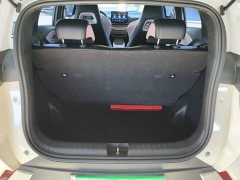 BYD Seagull Glory Edition 305km Vitality Version - ფოტო 19