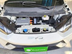 BYD Seagull Glory Edition 305km Vitality Version - ფოტო 20