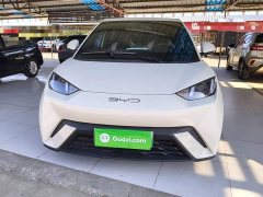 BYD Seagull Glory Edition 305km Vitality Version - ფოტო 3