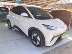 BYD Seagull Glory Edition 305km Vitality Version - ფოტო 4