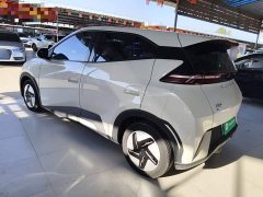 BYD Seagull Glory Edition 305km Vitality Version - ფოტო 5