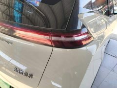 BYD Seagull Glory Edition 305km Vitality Version - ფოტო 8