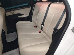 BYD Qin PLUS EV Smart Drive 420KM Leading Edition - ფოტო 17