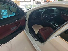 BMW 5 Series 530Li Premier M Sport Package - ფოტო 16