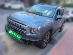 Great Wall Dachshund 2024 1.5T DCT Labrador Edition - ფოტო 1