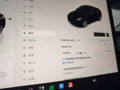 Tesla Model Y Rear-Wheel Drive - ფოტო 12
