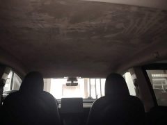 Tesla Model Y Rear-Wheel Drive - ფოტო 18