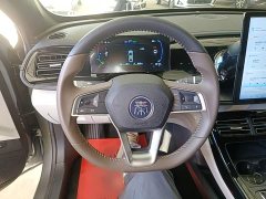 BYD Qin PLUS Glory Edition DM-i 55KM Leading - ფოტო 11