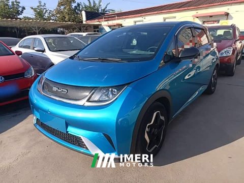2023 BYD Dolphin 405km Fashion Edition - ავტომობილი ჩინეთიდან