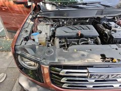 Great Wall Dachshund 2021 1.5T DCT Two-Wheel Drive Border Collie Edition - ფოტო 19