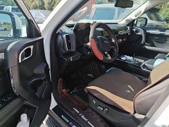 Great Wall Dachshund 2021 1.5T DCT Two-Wheel Drive Malinois Edition - ფოტო 14