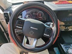 Great Wall Dachshund 2021 1.5T DCT Two-Wheel Drive Malinois Edition - ფოტო 3