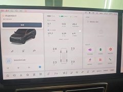 Li Auto L8 2023 Pro - ფოტო 12