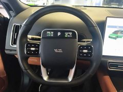 Li Auto L9 Ultra - ფოტო 11