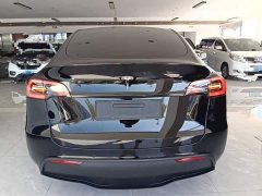 Tesla Model Y 2023 Long Range All-Wheel Drive - ფოტო 6