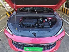 Dongfeng Fenghang T5 EVO 1.5TD DCT Star Shine Edition - ფოტო 16